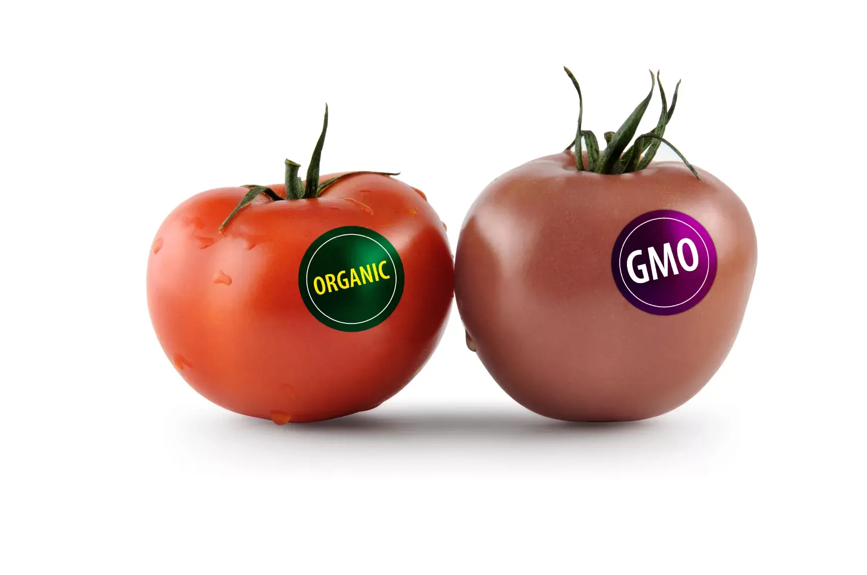 СГР для продукции с ГМО