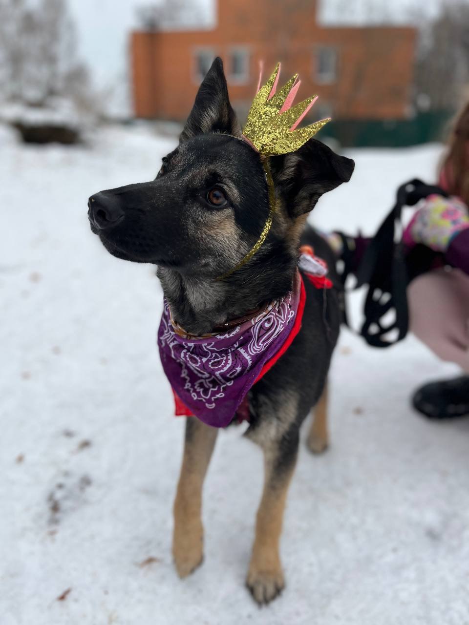 Шейла из Некрасовки