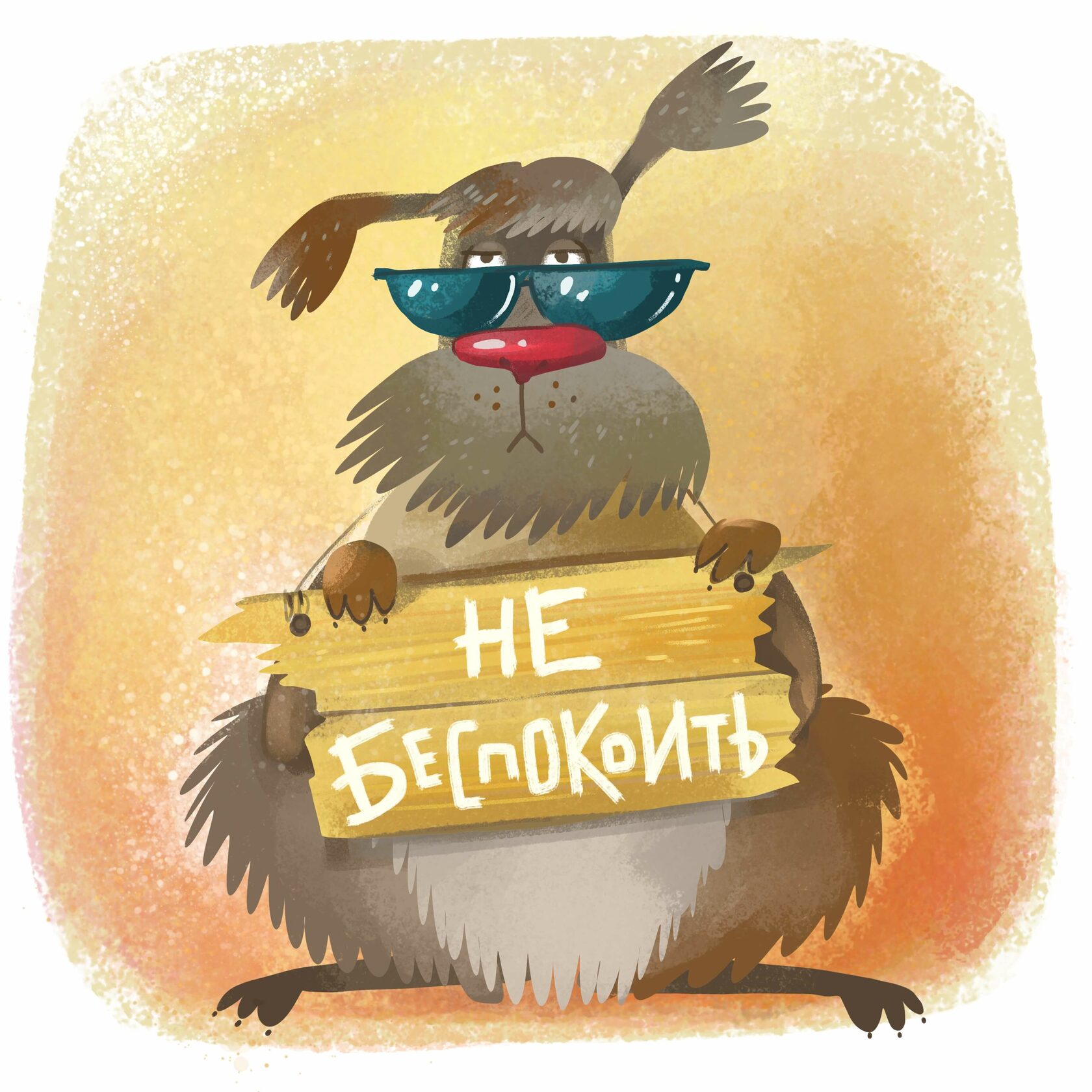 Несоциализированные собаки из приюта