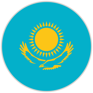 website icon