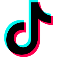 TikTok Ads