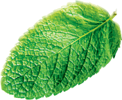 Позитивное влияние на экологию