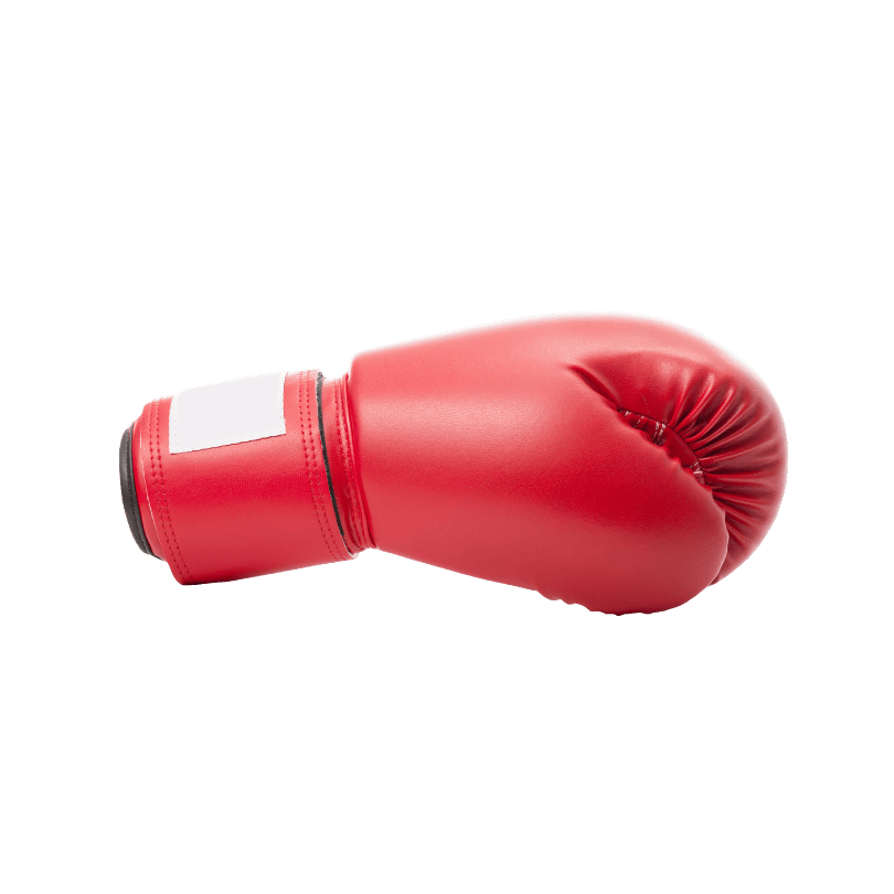 Боксерская перчатка