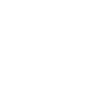  ARSEO 