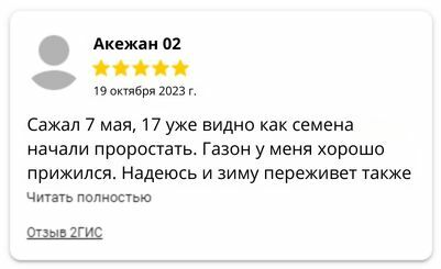 Газон плейграунд отзывы