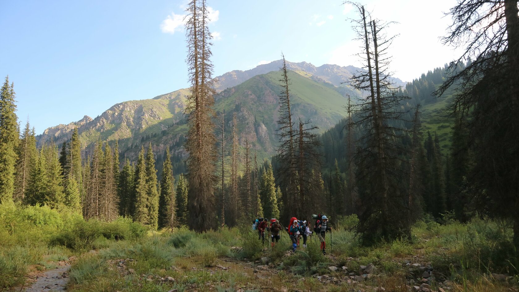 Порно фильмді тамашалауға болады.