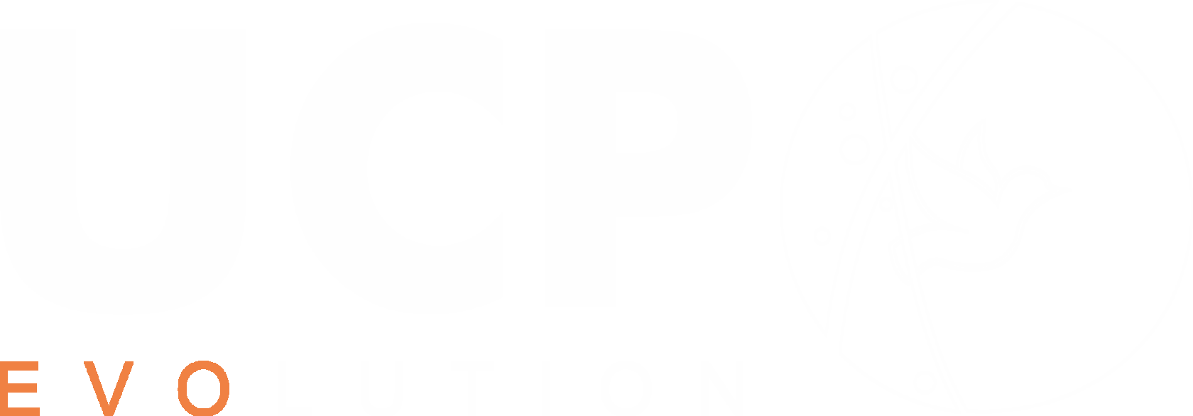 Фонд «United Charity Projects Evolution»