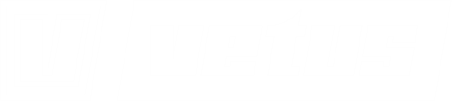 Логотип VETUS