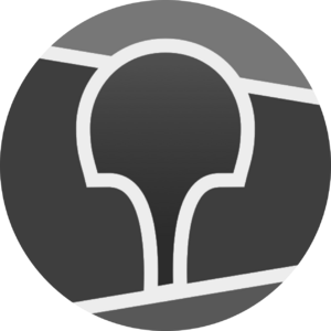 website icon