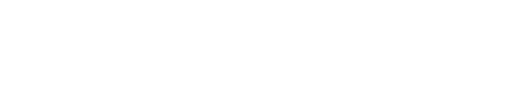 Brainysoft