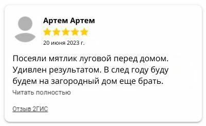 Мятлик луговой газон отзывы