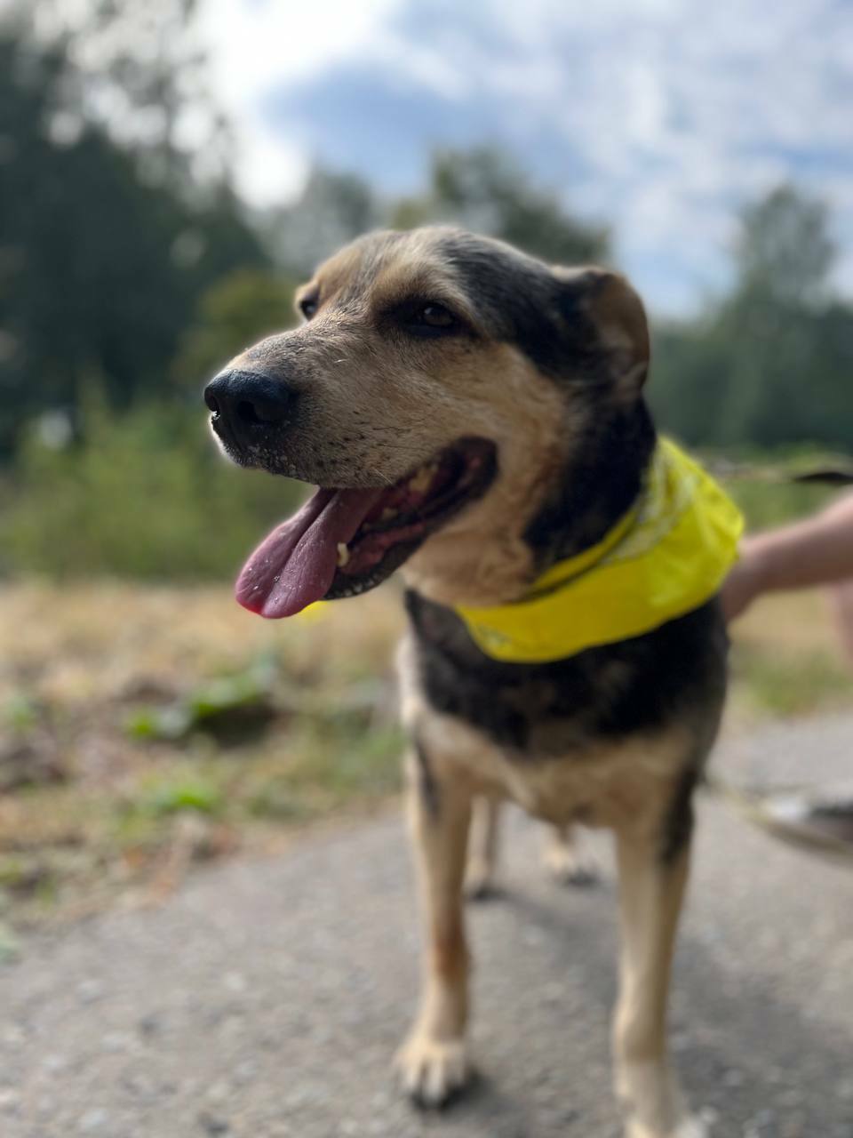 Авель из Некрасовки