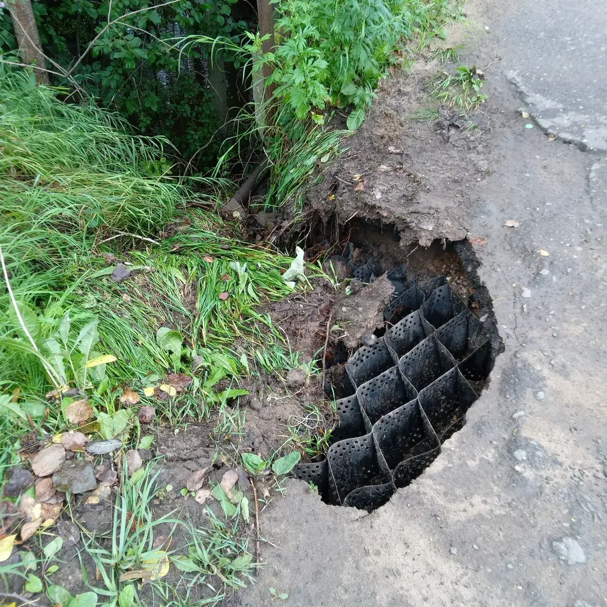 Обнажённые ячейки на повреждённом участке обочины