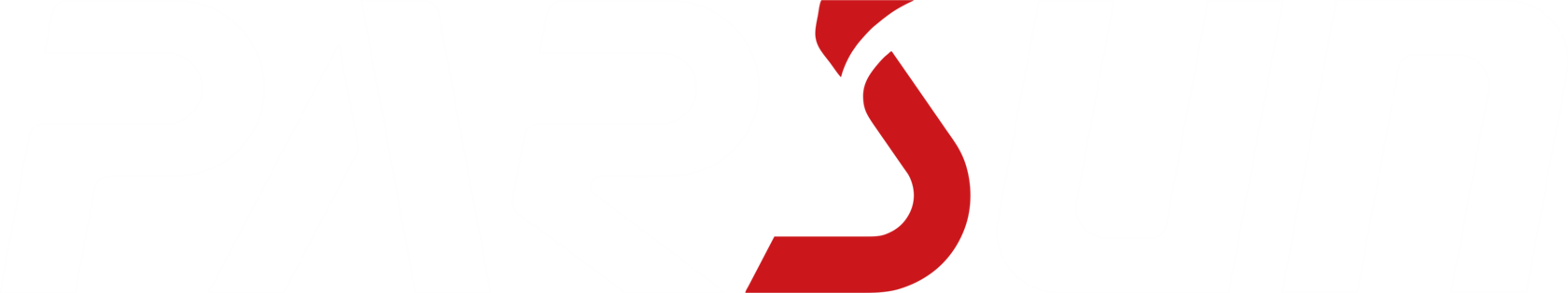 Логотип PARSUN