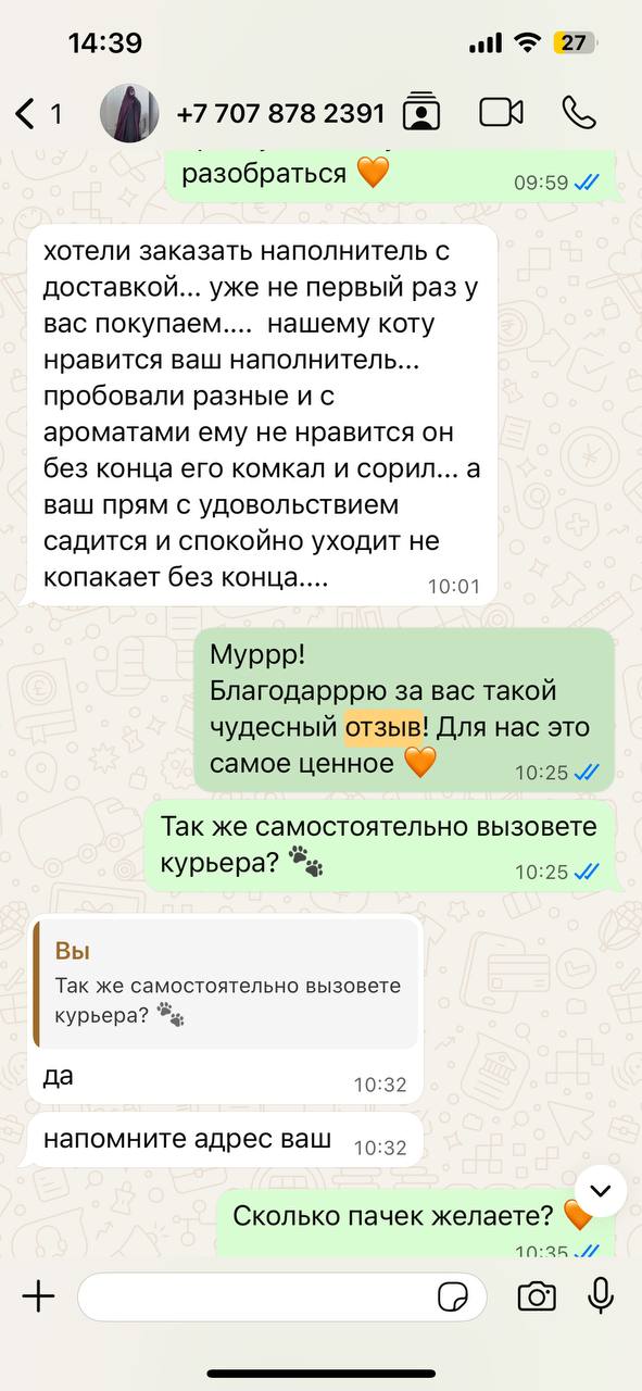 Отзыв в WhatsApp: коту нравится, садится с удовольствием