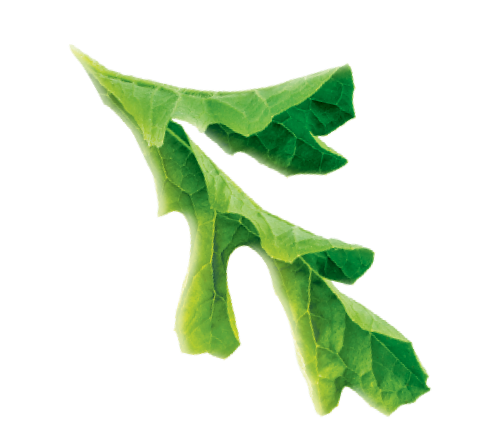 видео о нашем производстве сиропов