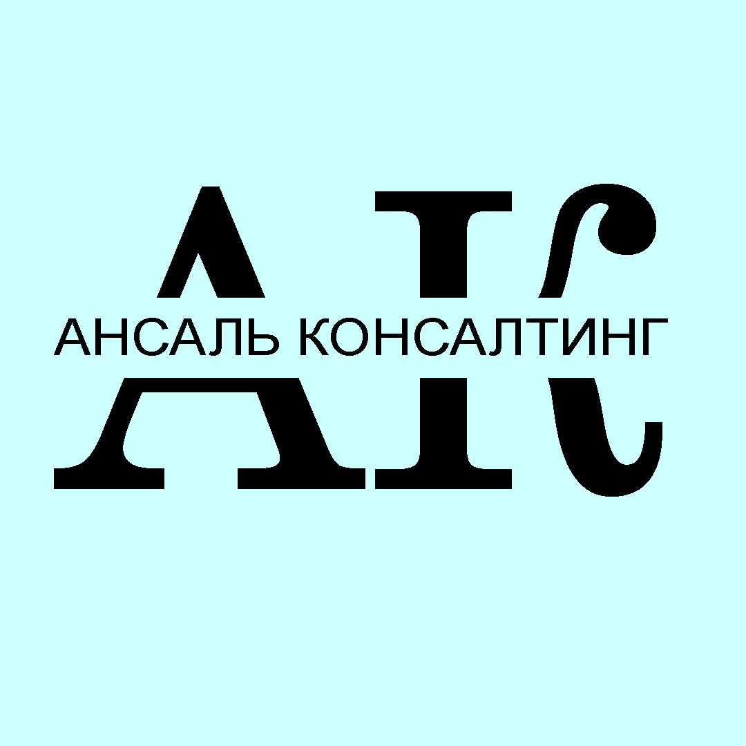 Бизнес-планы, ТЭО, финансовые модели в Казахстане-АНСАЛЬ КОНСАЛТИНГ