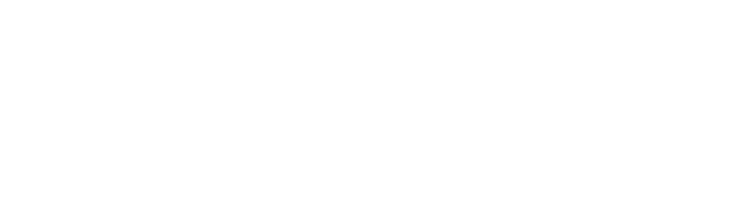 ARIMASPI CAPITAL