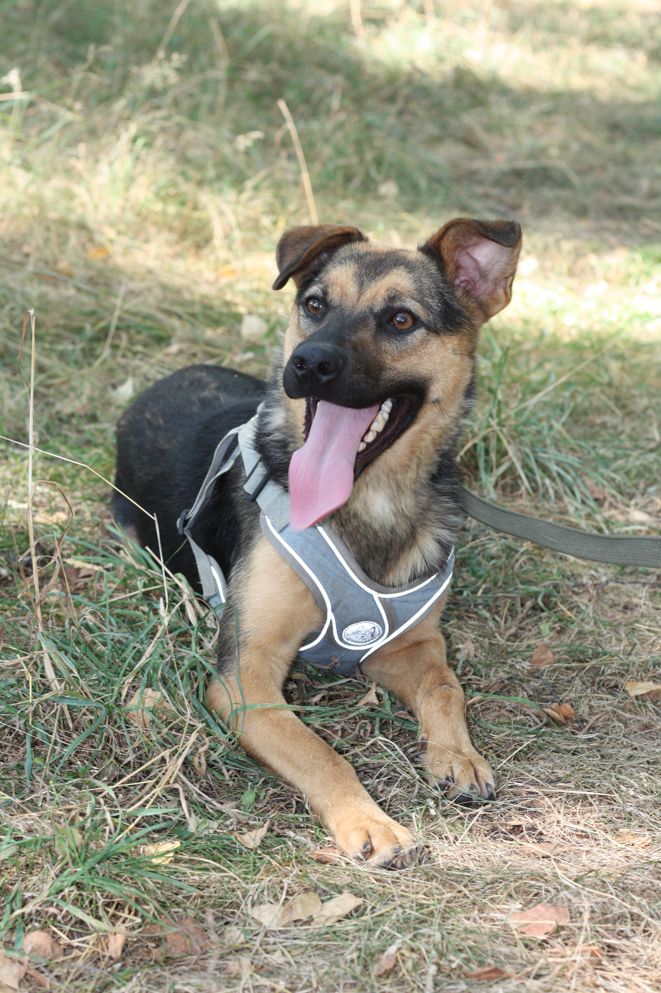 Джина из Некрасовки