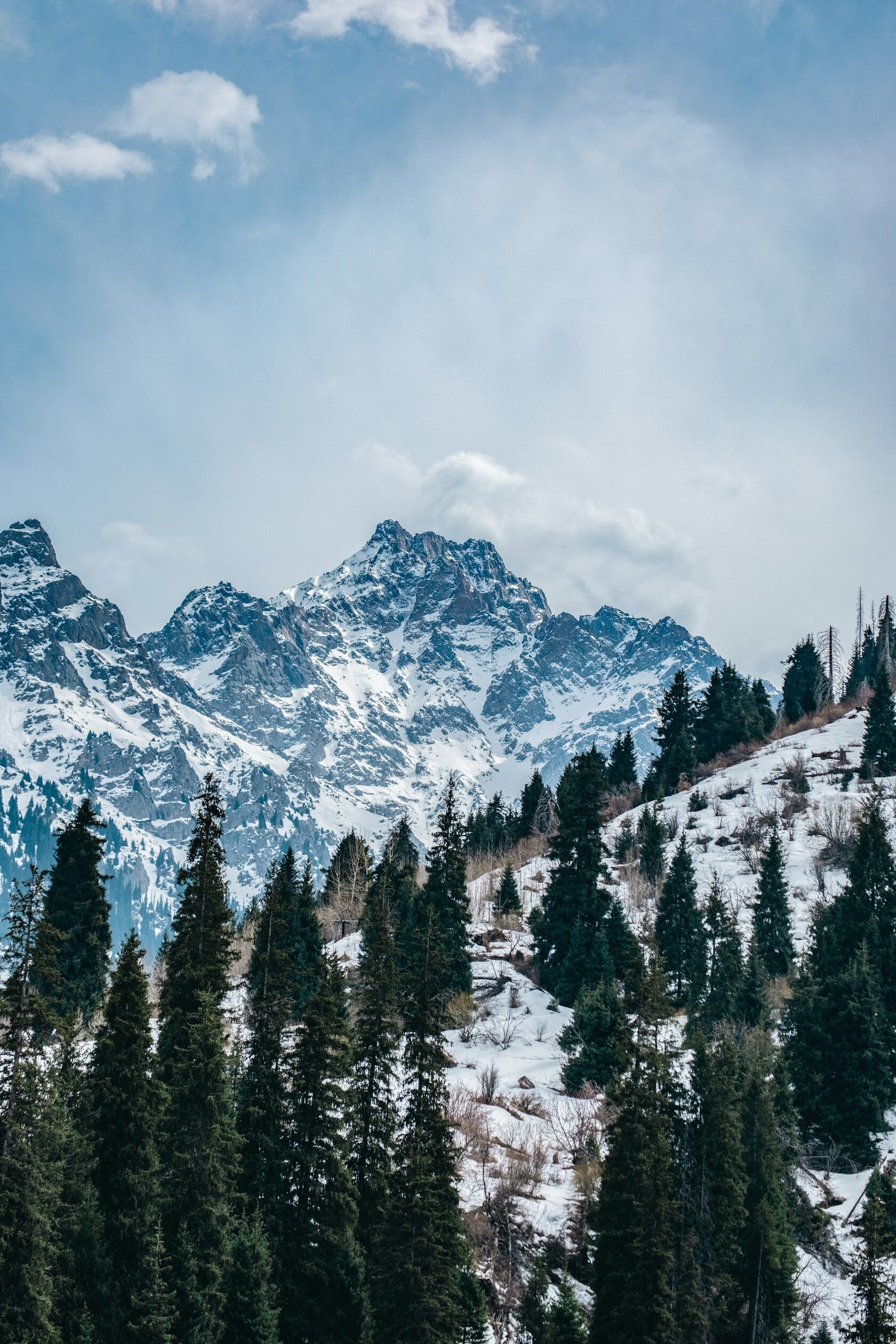 Winter in the Alps