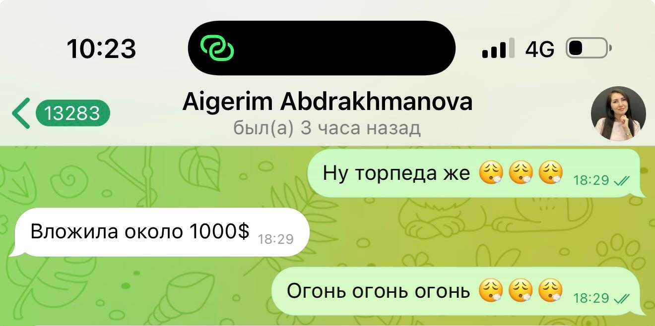Скриншот переписки Айгерим: оборот и вложения