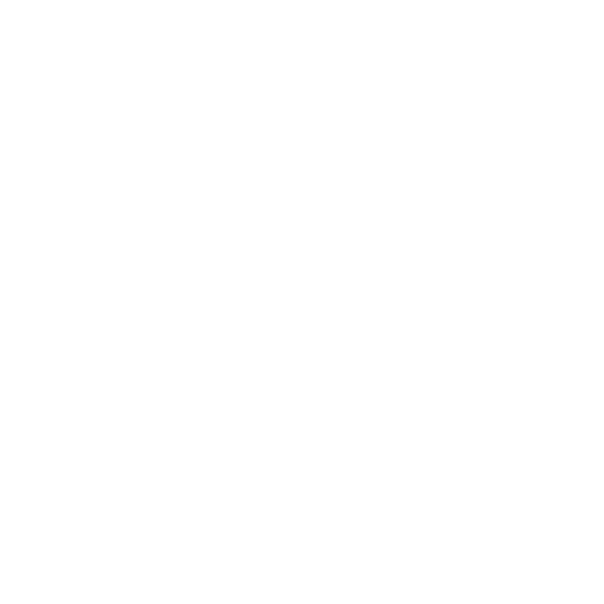 Логотип ZIPWAKE