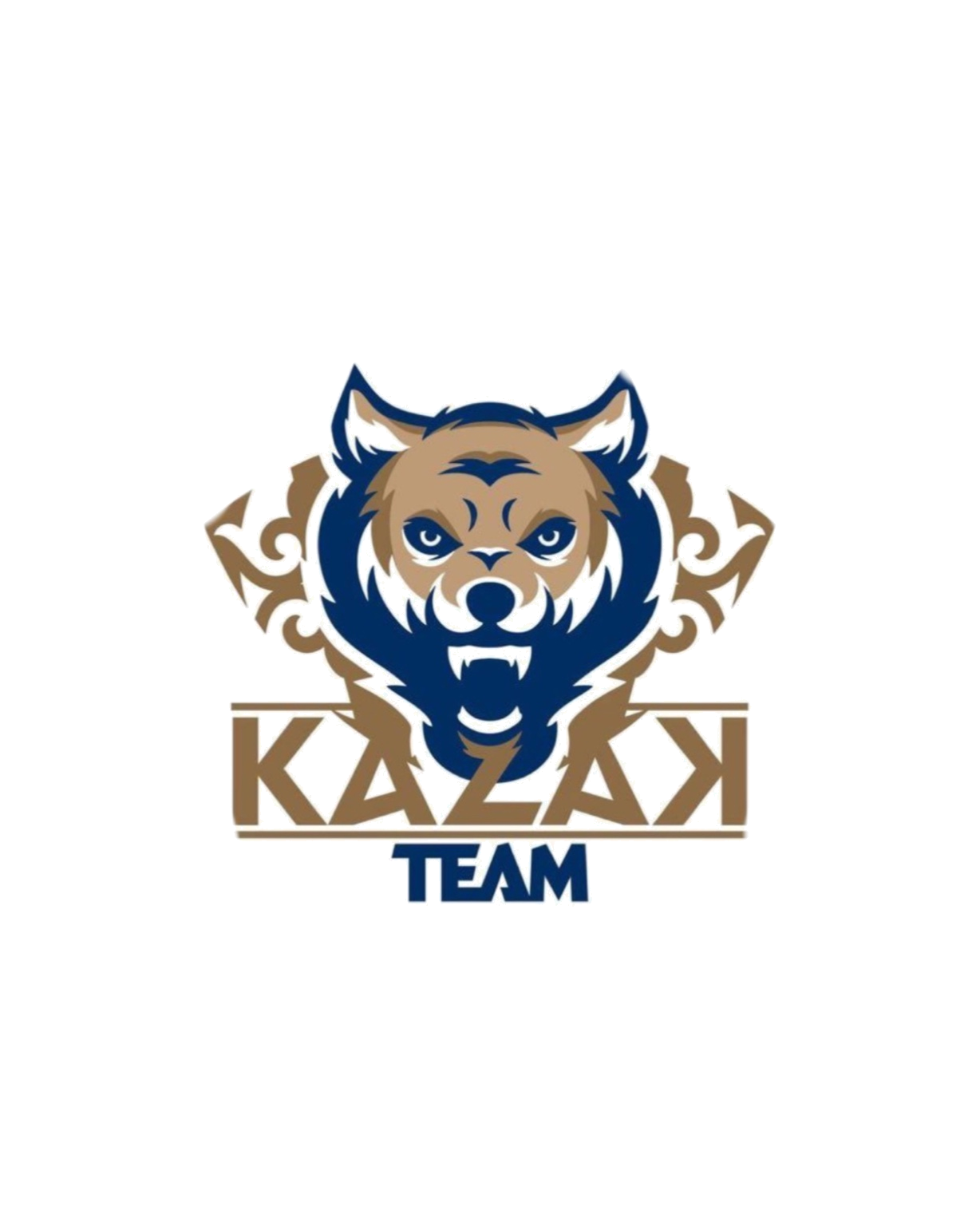 Kazak Team, клиент Birsan
