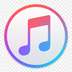 website icon