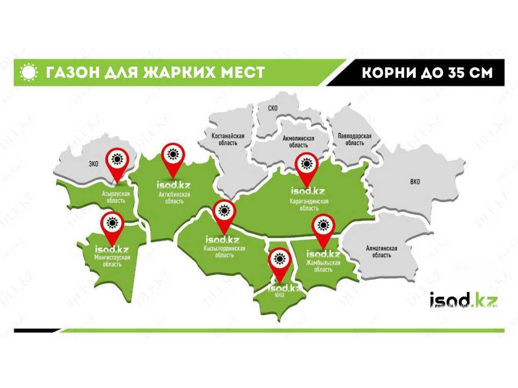 Газон устойчивый к засухе (SUN). Для жарких областей в isad