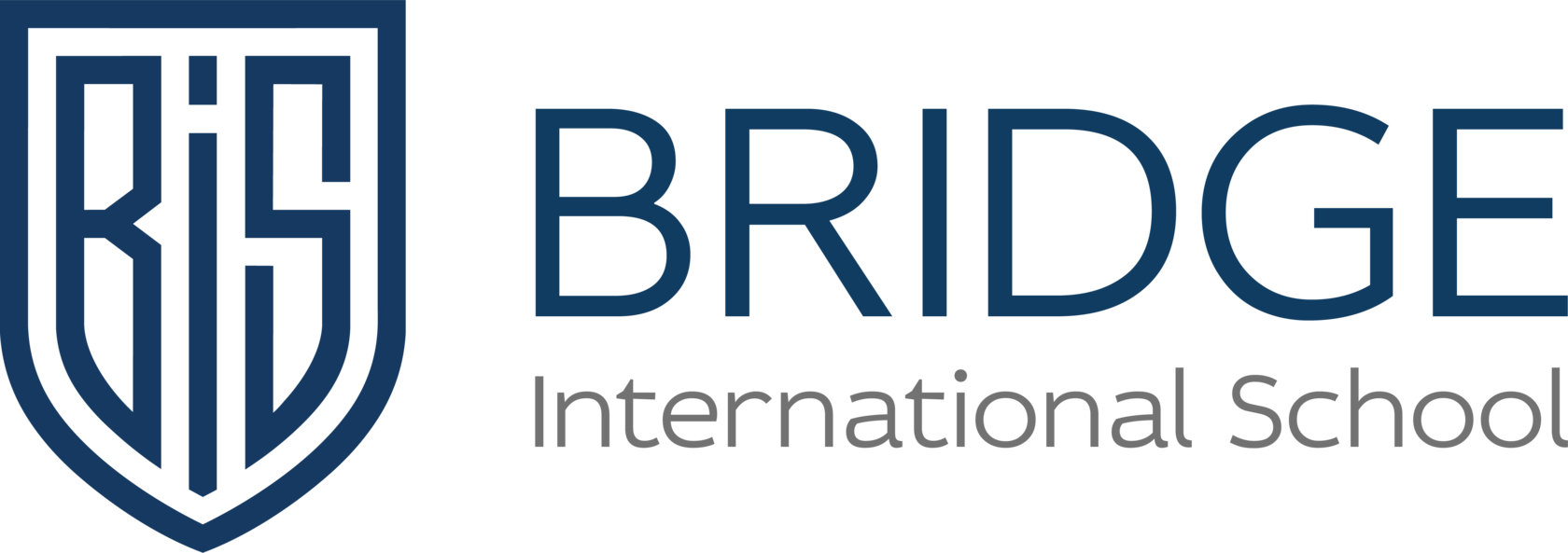 Bridge International School