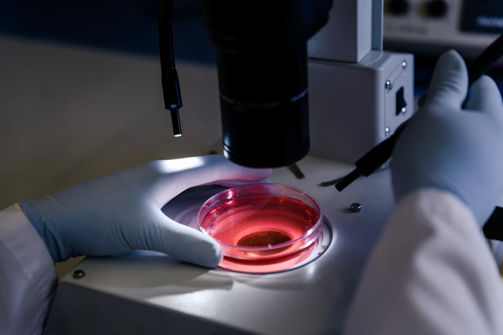 Лаборатория in-vitro диагностики