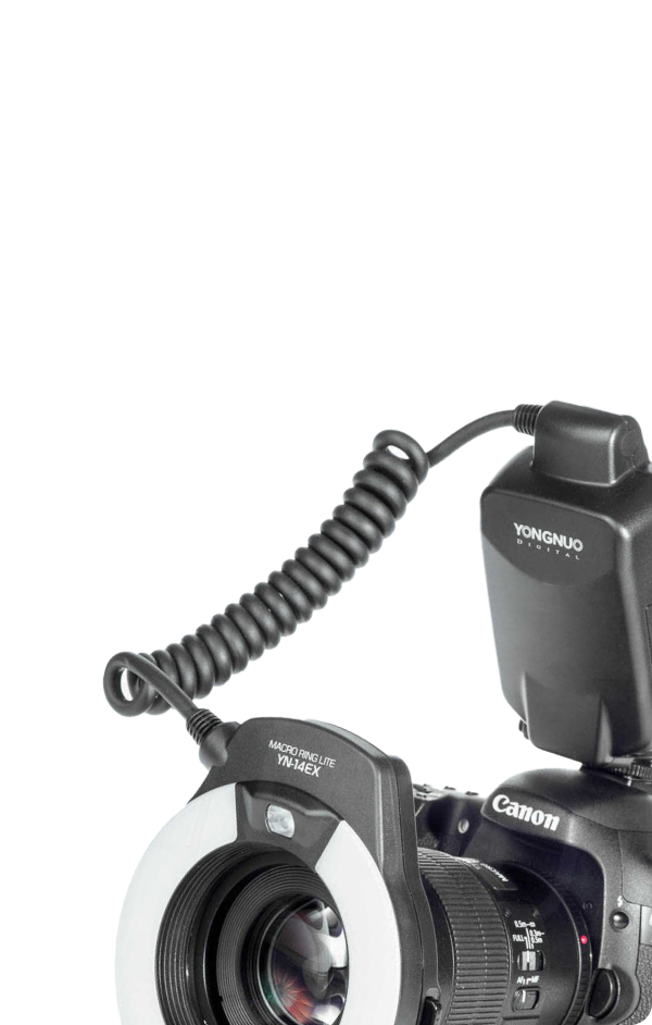 стоматологический фотопротокол