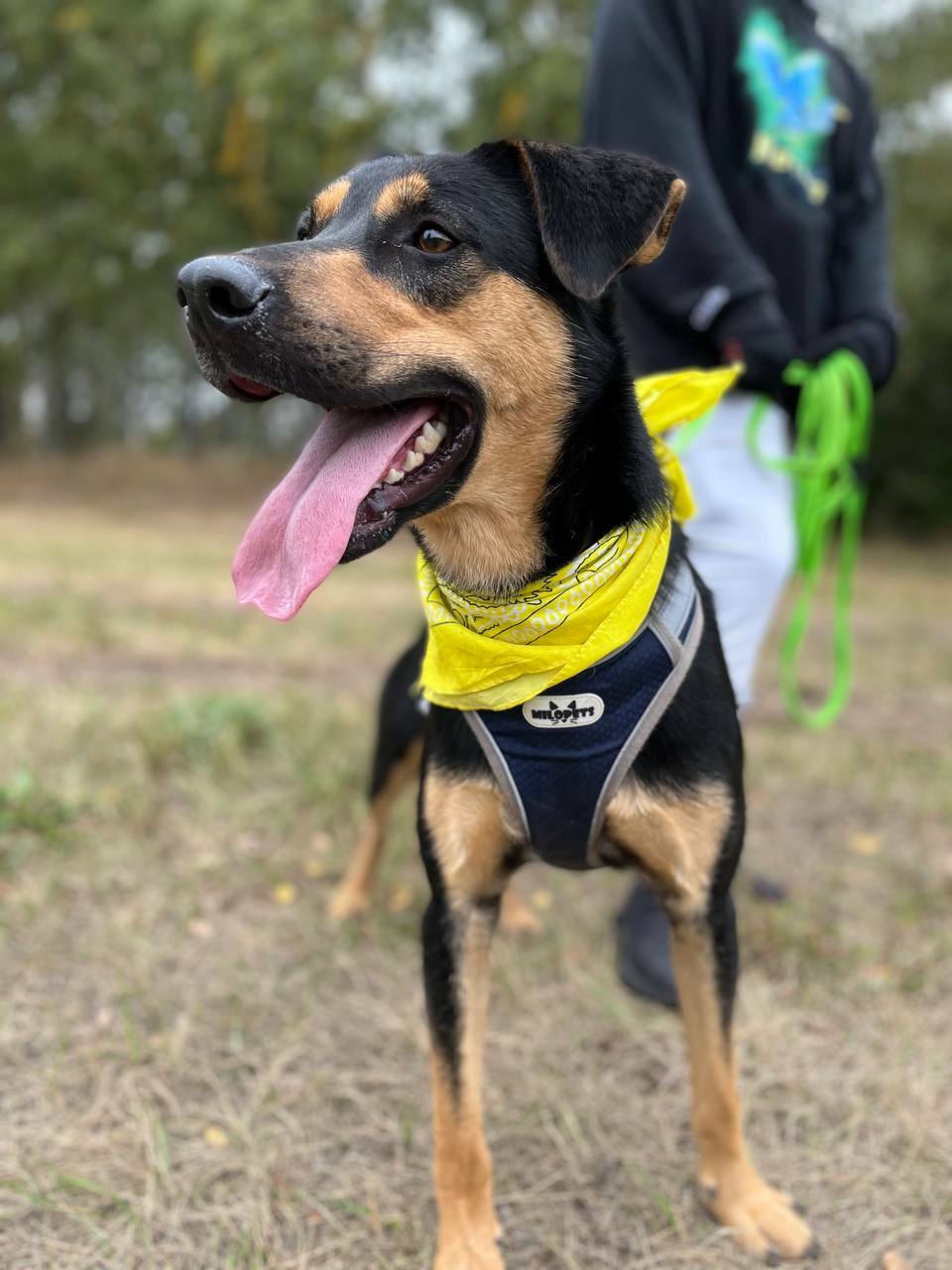 Джек из Некрасовки