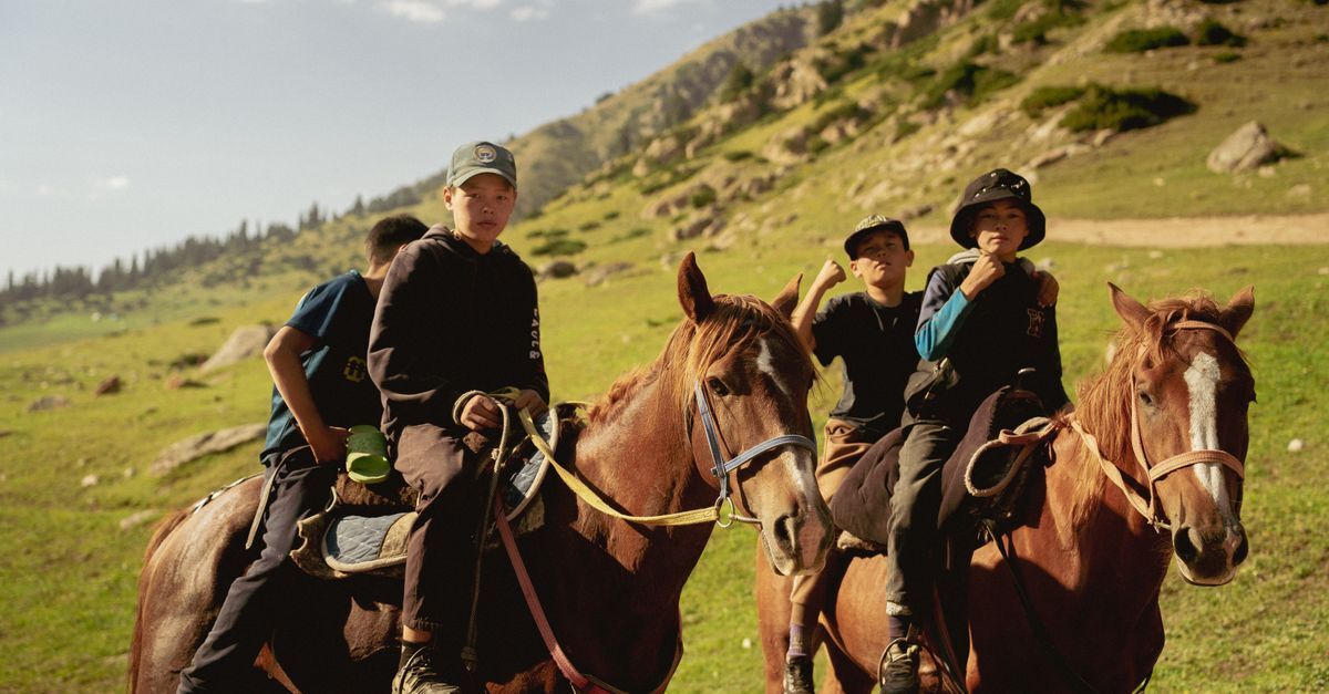 Horse riding and nomadic picnic