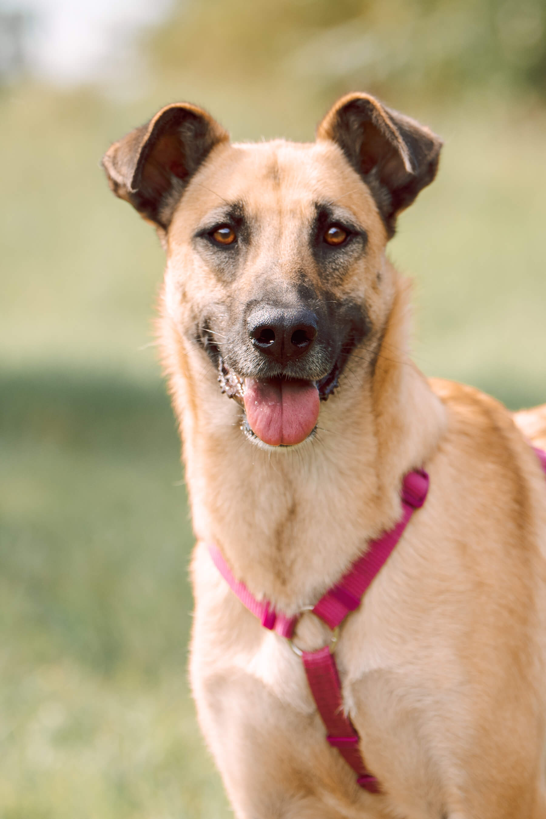 Берта из Некрасовки