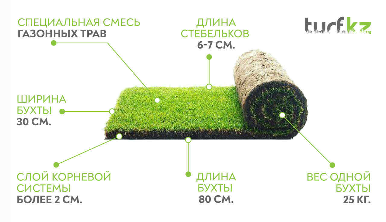 Натуральный рулонный газон с прочным дерном. Переходите