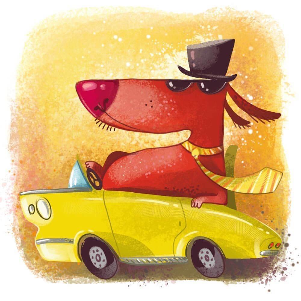 Взрослые собаки из приюта