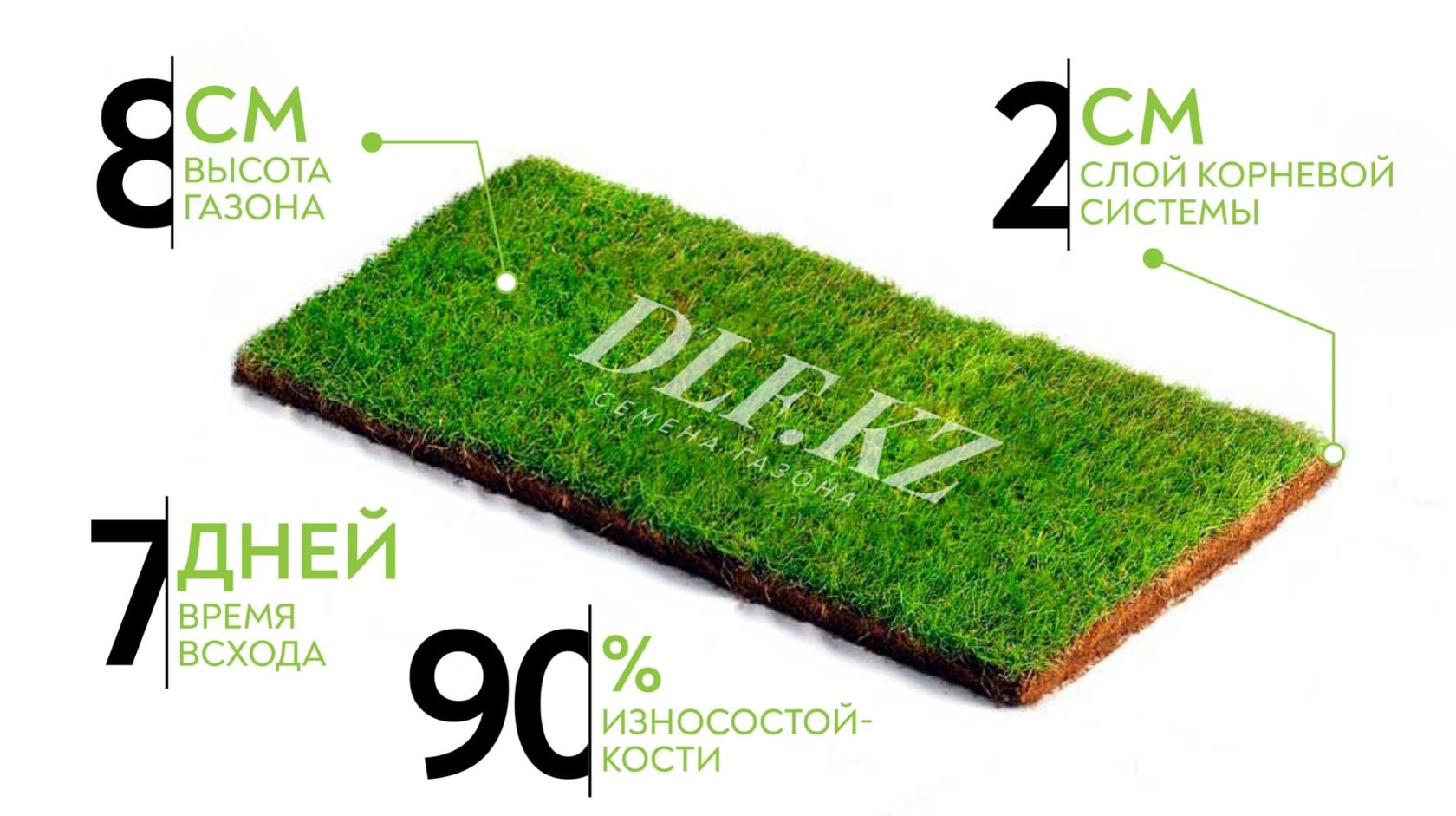 Газонная трава DLF (Дания). Цена от 1750 тг. Всхожесть 94%