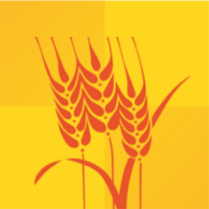 website icon