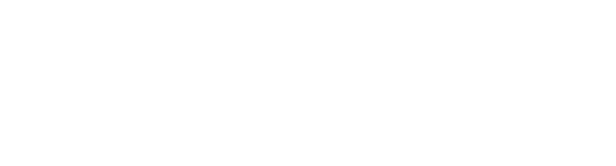 BAAS GROUP