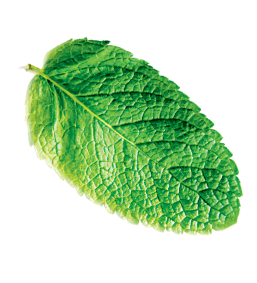 Позитивное влияние на экологию