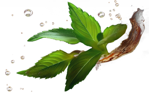 Добавляем стевию, пюре и соки