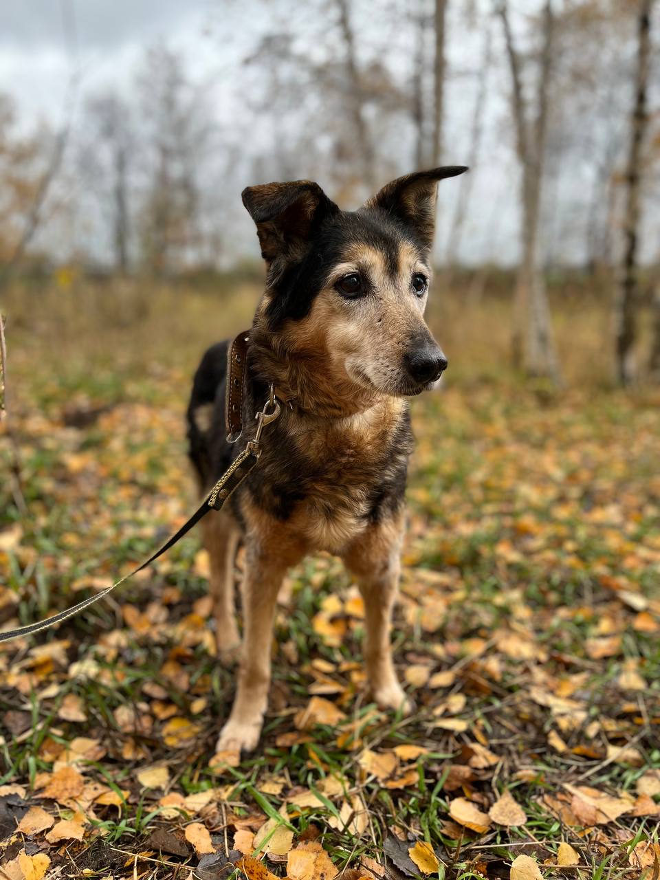 Даша из Некрасовки