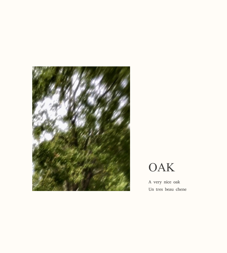 oak