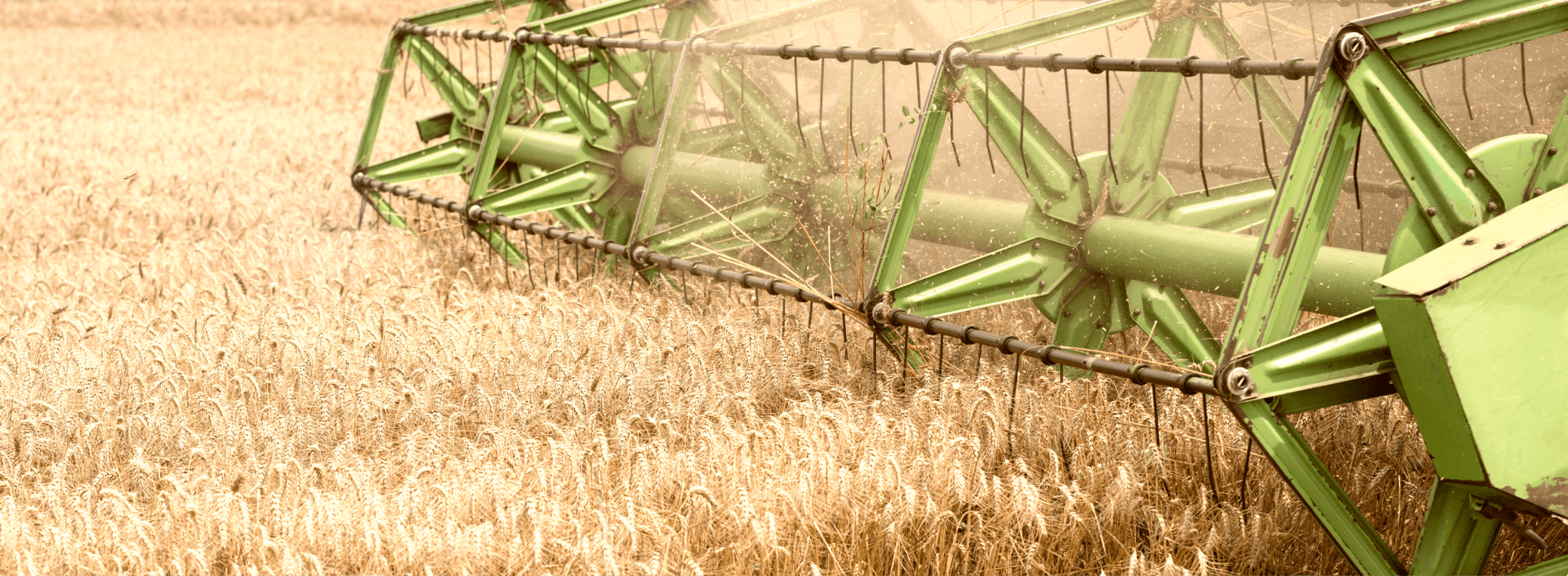 Зерноуборочная машина собирает урожай