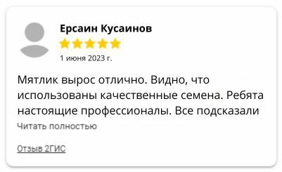 Мятлик луговой отзывы