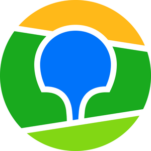 website icon