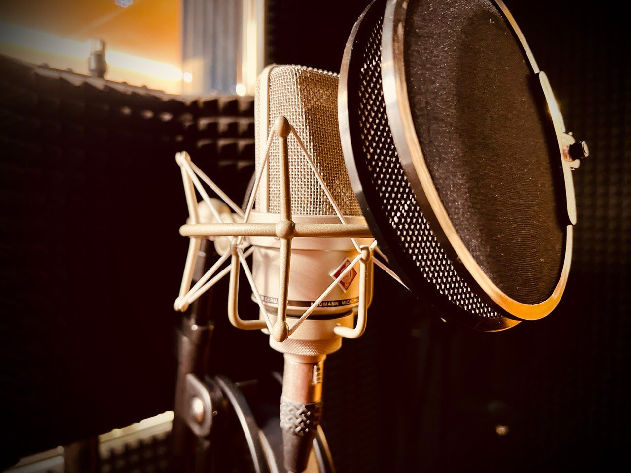 профессиональный студийный микрофон