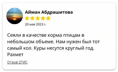 Отзывы на семена нута