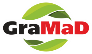 website icon